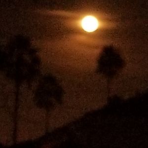 Meet Jilly.... Hello!